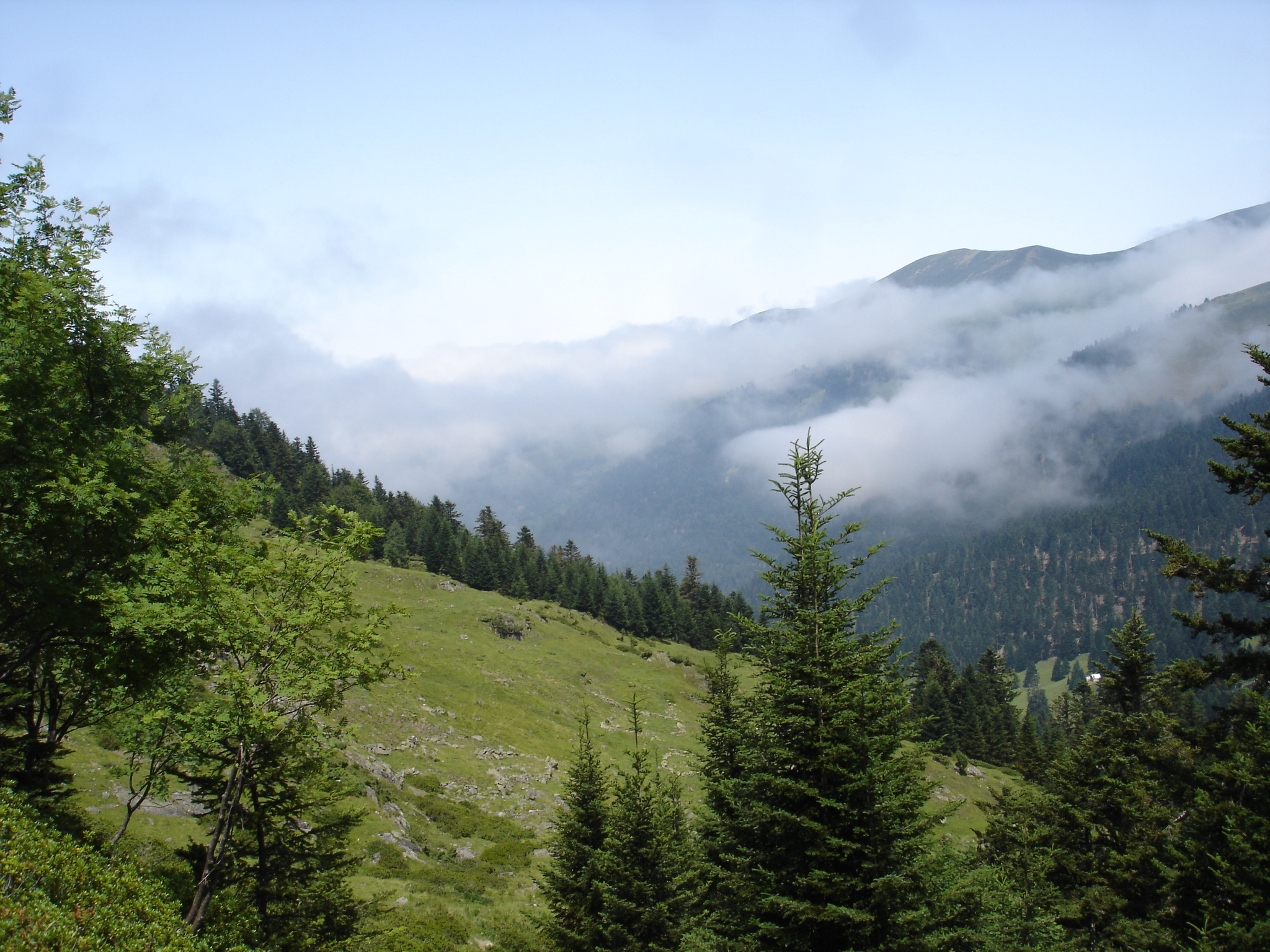 reserve naturelle du montious