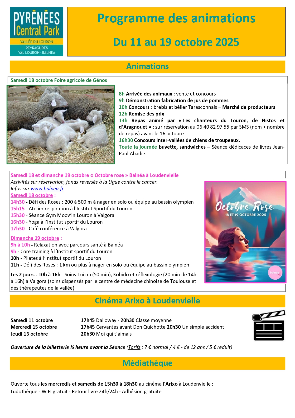 programme d'animation 