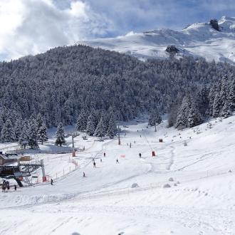 ski au milieu des sapins