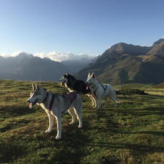 instinct louron activité loudenvielle