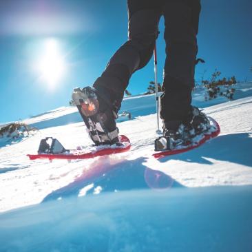 Hiking and snowshoes