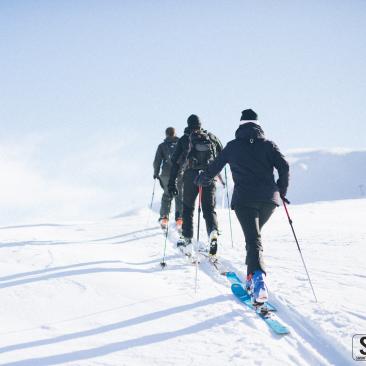 Ski de randonnée