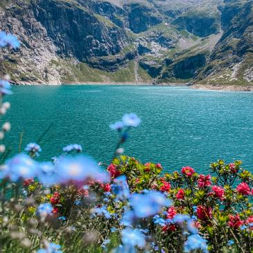 Sentiers de randonnée