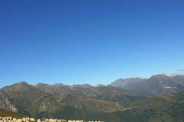 bergers de balestas loudenvielle peyragudes