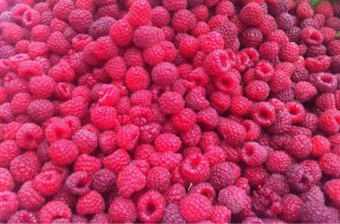 cosmetique made in france 