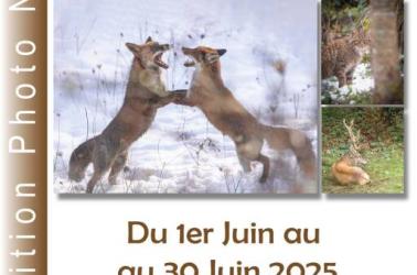 expo Nathalie juin 25