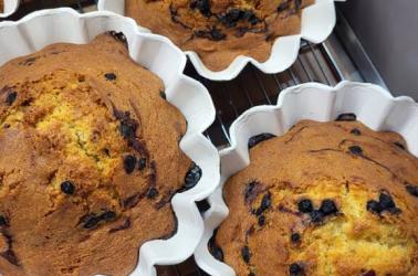 traineaux des gourmandises TOURTE 